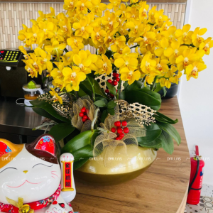 Chậu Lan Hồ Điệp Mini Vàng 14 Cành Đôi (M7-V2/01)