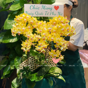 Chậu Lan Hồ Điệp Mini Vàng 10 Cành Đôi (M5-V2/02)