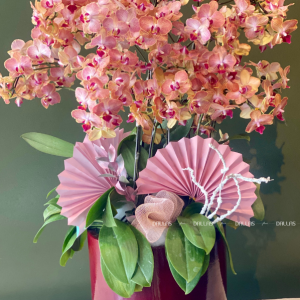 Chậu Lan Hồ Điệp Mini Cam 10 Cành Đôi (M5-C2/03)