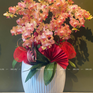 Chậu Lan Hồ Điệp Mini Cam 10 Cành Đôi (M5-C2/04)