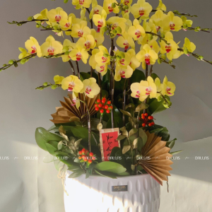 Chậu Lan Hồ Điệp Vàng 14 Cành Đôi (Đ7-V2/01)