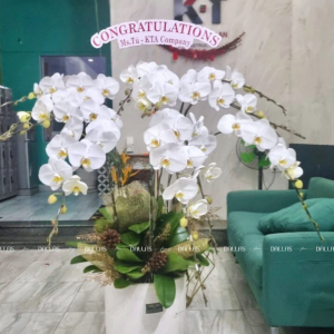 Chậu Lan Hồ Điệp Trắng 10 Cành (Đ10-TR1/02/C)