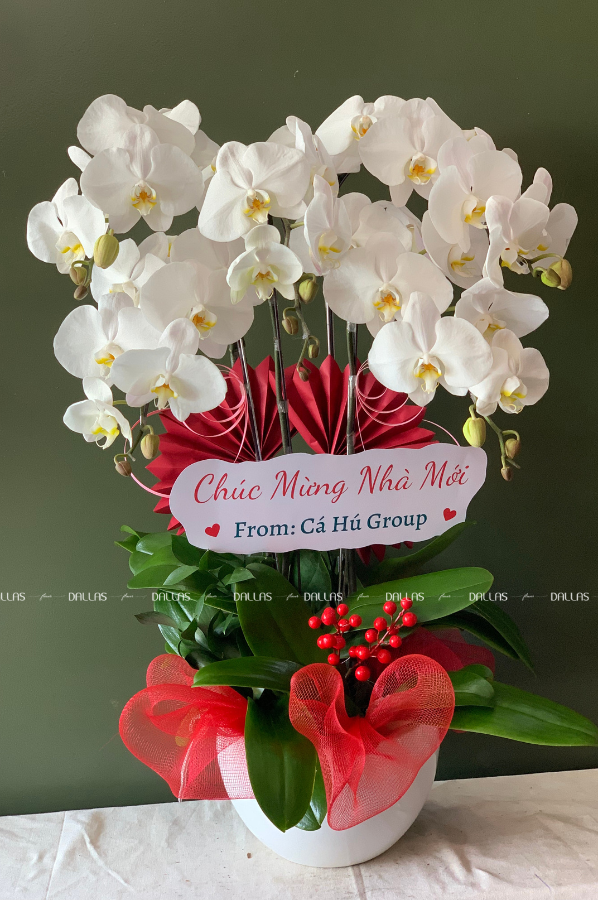 Chậu Lan Hồ Điệp Trắng 5 Cành (Đ5-TR1/09) Chậu Lan Hồ Điệp Trắng 5 Cành (Đ5-TR1/09)