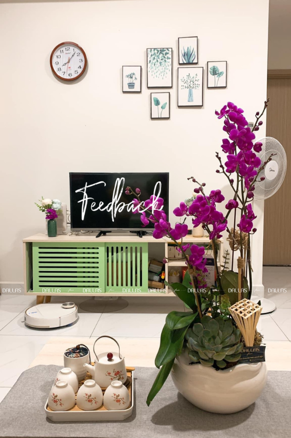 Chậu Lan Hồ Điệp Mini Tím Mãn Thiên Hồng 4 Cành Đôi (M2-TI2/01) Chậu Lan Hồ Điệp Mini Tím Mãn Thiên Hồng 4 Cành Đôi (M2-TI2/01)