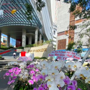 Chậu Lan Hồ Điệp Đa Sắc 8 Cành (Đ8-Mix1/01)