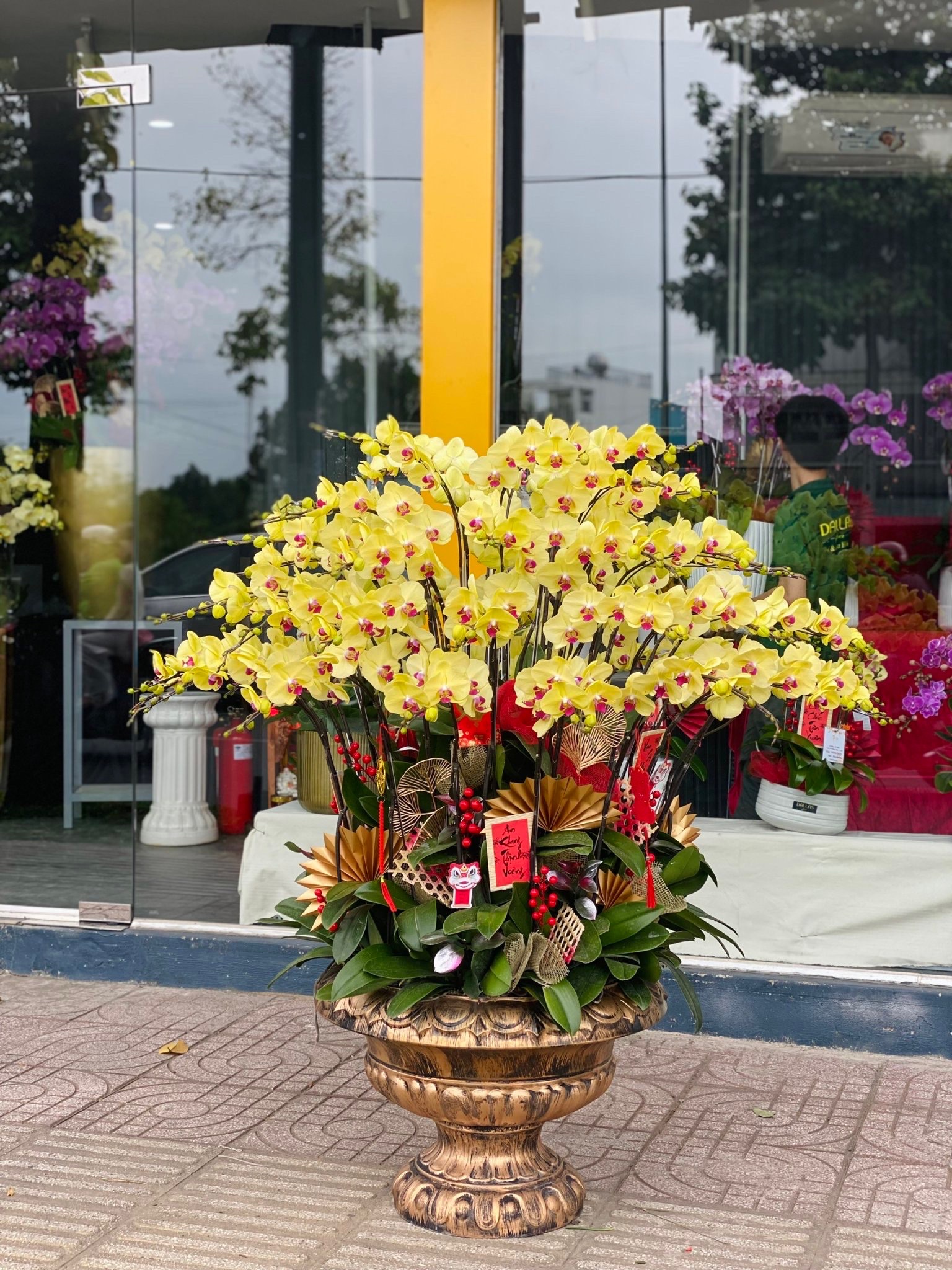 Chậu Lan Hồ Điệp Vàng Premium 50 Cành (Đ50-V1/01/CP) Chậu Lan Hồ Điệp Vàng Premium 50 Cành (Đ50-V1/01/CP)