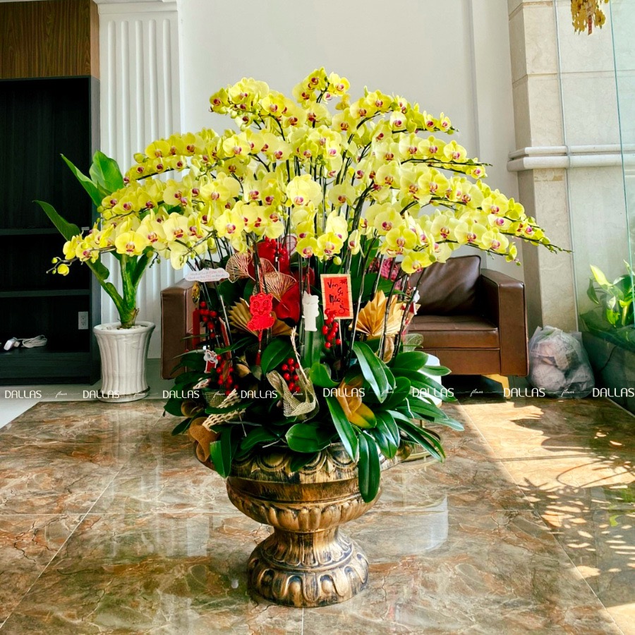 Chậu Lan Hồ Điệp Vàng Premium 50 Cành (Đ50-V1/01/CP) Chậu Lan Hồ Điệp Vàng Premium 50 Cành (Đ50-V1/01/CP)