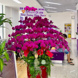 Chậu Lan Hồ Điệp Tím 30 Cành (Đ30-TI1/01/C)
