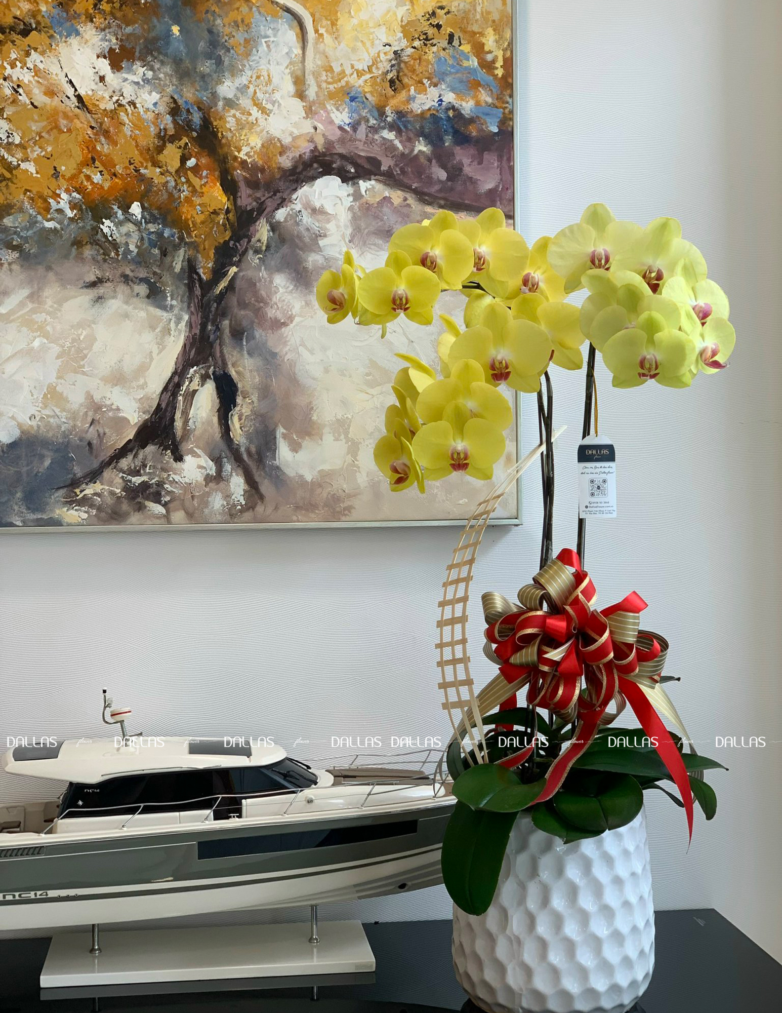 SSMC - Chậu Hoa Lan Hồ Điệp Trưng Bàn Lễ Tân