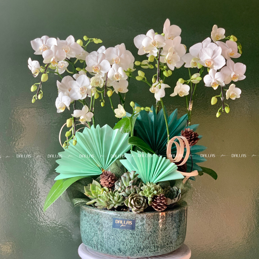 Chậu Lan Hồ Điệp Mini Trắng 4 Cành (M4-TR1/01) Chậu Lan Hồ Điệp Mini Trắng 4 Cành (M4-TR1/01)