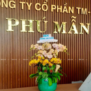 Chậu Lan Hồ Điệp Mini Vàng Cam 10 Cành Đôi (M5-Mix2/01)