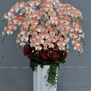 Chậu Lan Hồ Điệp Màu Hồng Cam 15 Cành (Đ15-NC1/01/CP)