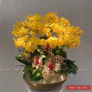 Chậu Lan Hồ Điệp Mini Vàng 14 Cành Đôi (M7-V2/01)