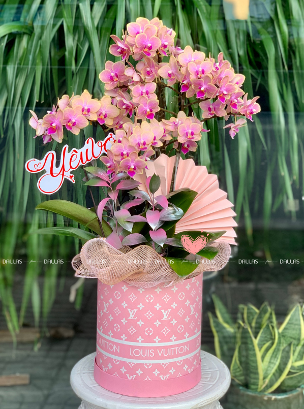 Chậu Lan Hồ Điệp Mini Hồng 4 Cành Đôi (M2-H2/03) Chậu Lan Hồ Điệp Mini Hồng 4 Cành Đôi (M2-H2/03)