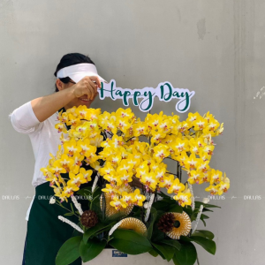 Chậu Lan Hồ Điệp Mini Vàng 6 Cành (M6-V1/02)