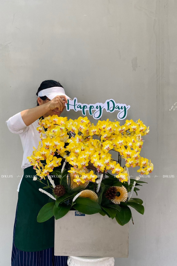 Chậu Lan Hồ Điệp Mini Vàng 6 Cành (M6-V1/02) Chậu Lan Hồ Điệp Mini Vàng 6 Cành (M6-V1/02)