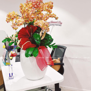 Chậu Lan Hồ Điệp Mini Cam 10 Cành Đôi (M5-C2/02)