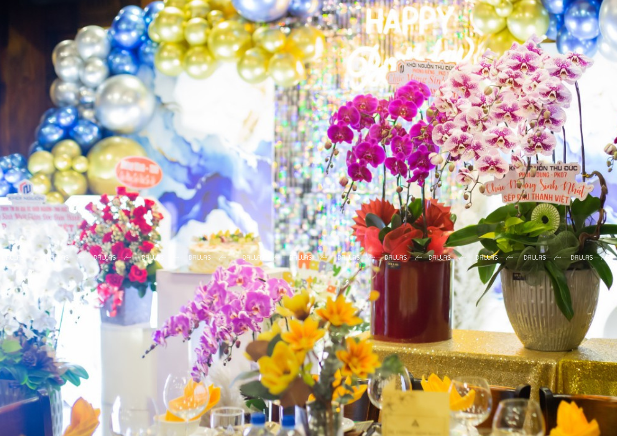 Chậu Lan Hồ Điệp Đột Biến 6 Cành (Đ6-ĐB1/01)