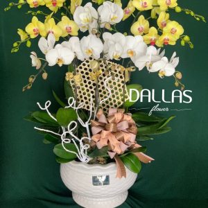 Chậu Lan Hồ Điệp Trắng Vàng 9 Cành (Đ9-Mix1/08)