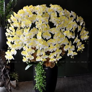 Chậu Lan Hồ Điệp Vàng Gold 20 Cành (Đ20-N1/01/CP)