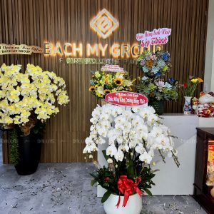 Chậu Lan Hồ Điệp Vàng Gold 20 Cành (Đ20-N1/01/CP)