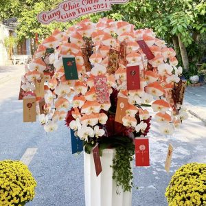 Chậu Lan Hồ Điệp Màu Cam Đào 15 Cành (Đ15-NC1/01/CP)