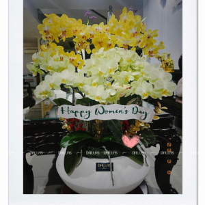 Chậu Lan Hồ Điệp Mini Mix Vàng 12 Cành Đôi (M6-Mix2/01)