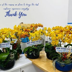 Chậu Lan Hồ Điệp Mini Vàng Cam 4 Cành Đôi (M2-Mix2/04)