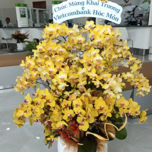 Chậu Lan Hồ Điệp Mini Vàng 20 Cành Đôi (M10-V2/02)