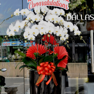 Chậu Lan Hồ Điệp Trắng 10 Cành (Đ10-TR1/03/C)