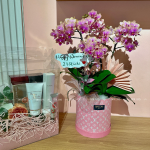 Chậu Lan Hồ Điệp Mini Hồng 4 Cành Đôi (M2-H2/03)