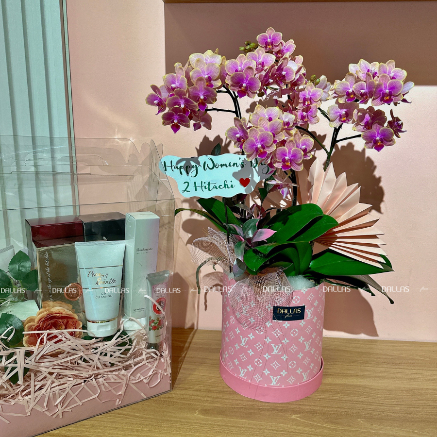 Chậu Lan Hồ Điệp Mini Hồng 4 Cành Đôi (M2-H2/03) Chậu Lan Hồ Điệp Mini Hồng 4 Cành Đôi (M2-H2/03)