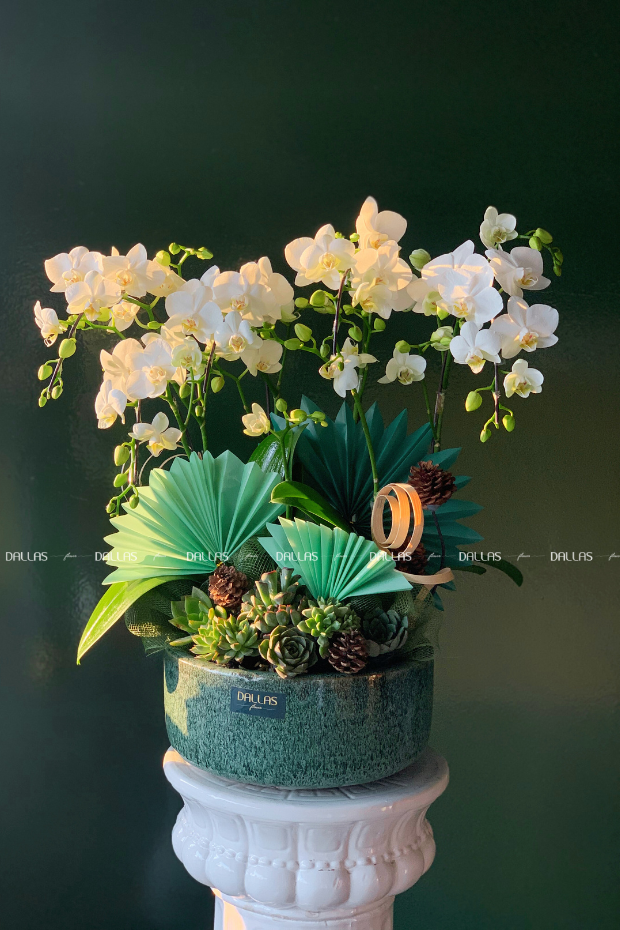 Chậu Lan Hồ Điệp Mini Trắng 4 Cành (M4-TR1/01) Chậu Lan Hồ Điệp Mini Trắng 4 Cành (M4-TR1/01)