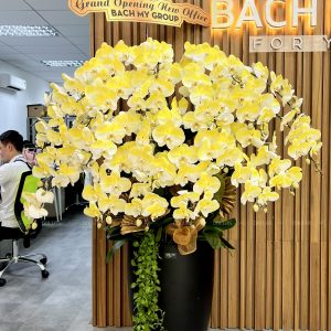 Chậu Lan Hồ Điệp Vàng Gold 20 Cành (Đ20-N1/01/CP)