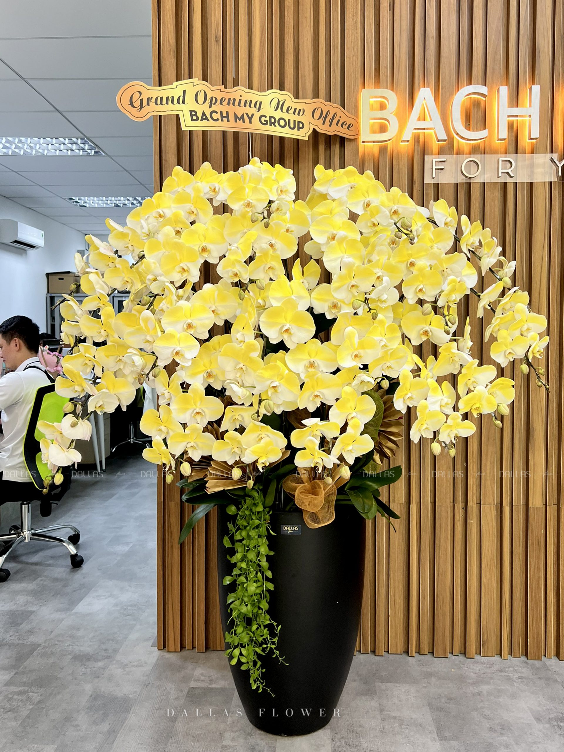 Chậu Lan Hồ Điệp Vàng Gold 20 Cành (Đ20-N1/01/CP) Chậu Lan Hồ Điệp Vàng Gold 20 Cành (Đ20-N1/01/CP)