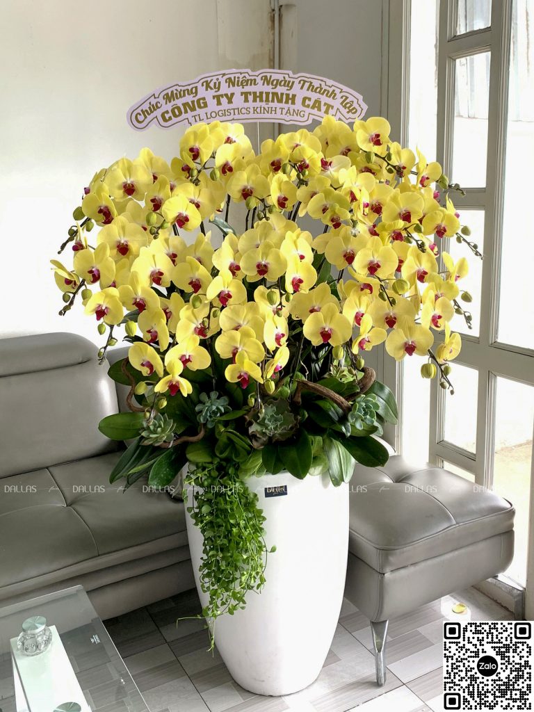 Lan Hồ Điệp Vàng Chậu Cao Cấp 20 Cành (Đ20-V1/01/C)