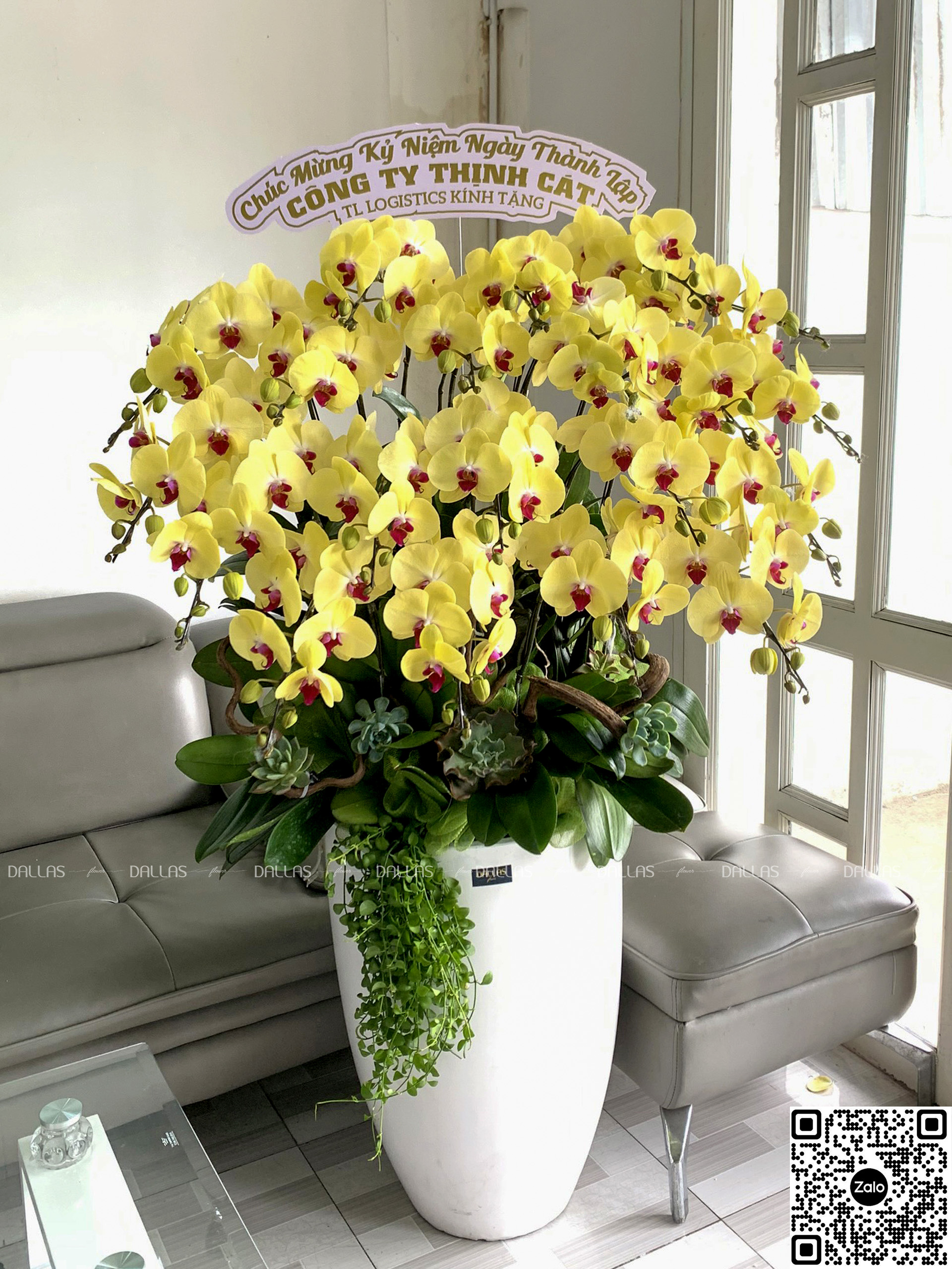 Lan Hồ Điệp Vàng Chậu Cao Cấp 20 Cành (Đ20-V1/01/C) Lan Hồ Điệp Vàng Chậu Cao Cấp 20 Cành (Đ20-V1/01/C)