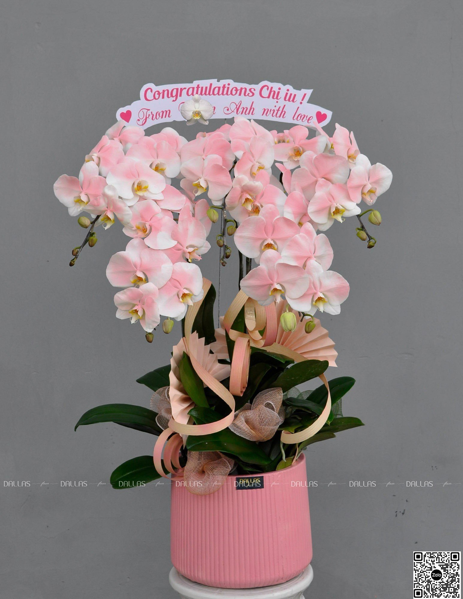 Chậu Lan Hồ Điệp Hồng Pastel 5 Cành (Đ5-NH1/01) Chậu Lan Hồ Điệp Hồng Pastel 5 Cành (Đ5-NH1/01)