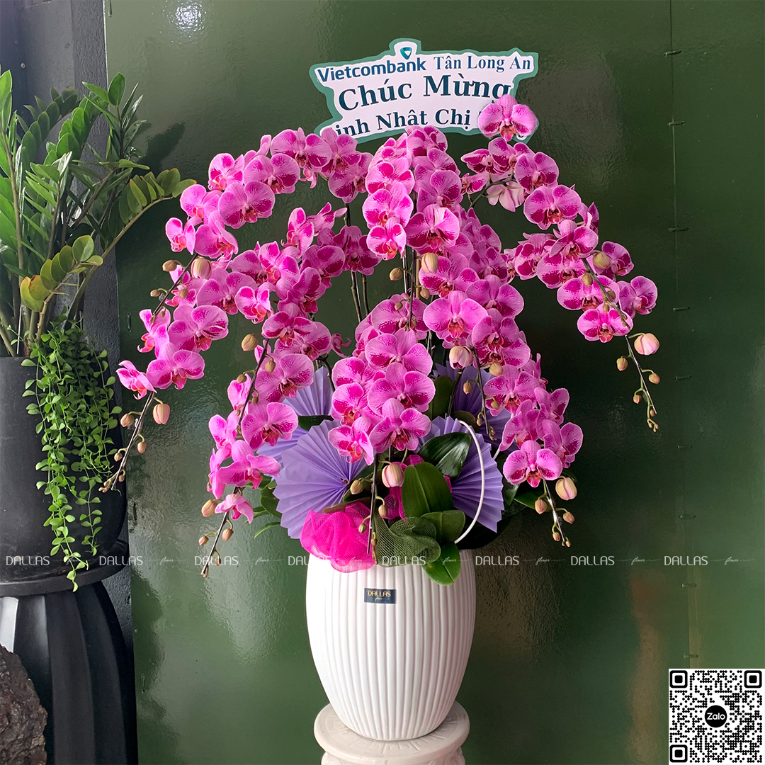 Chậu Lan Hồ Điệp Đột Biến Tím 10 Cành (Đ10-ĐB1/02) Chậu Lan Hồ Điệp Đột Biến Tím 10 Cành (Đ10-ĐB1/02)