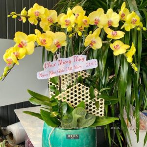 Chậu Lan Hồ Điệp Vàng 5 Cành (Đ5-V1/03)