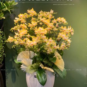 Chậu Lan Hồ Điệp Mini Vàng 20 Cành Đôi (M10-V2/01)