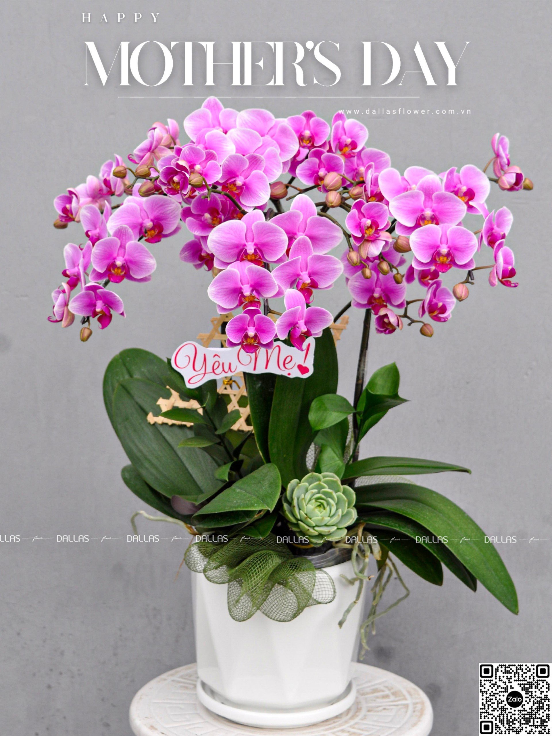 Chậu Lan Hồ Điệp Mini Tím 4 Cành Đôi (M2-TI2/03) Chậu Lan Hồ Điệp Mini Tím 4 Cành Đôi (M2-TI2/03)