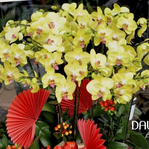 Chậu Lan Hồ Điệp Vàng Chậu 20 Cành Đôi (Đ10-V2/02)