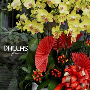 Chậu Lan Hồ Điệp Vàng Chậu 20 Cành Đôi (Đ10-V2/02)