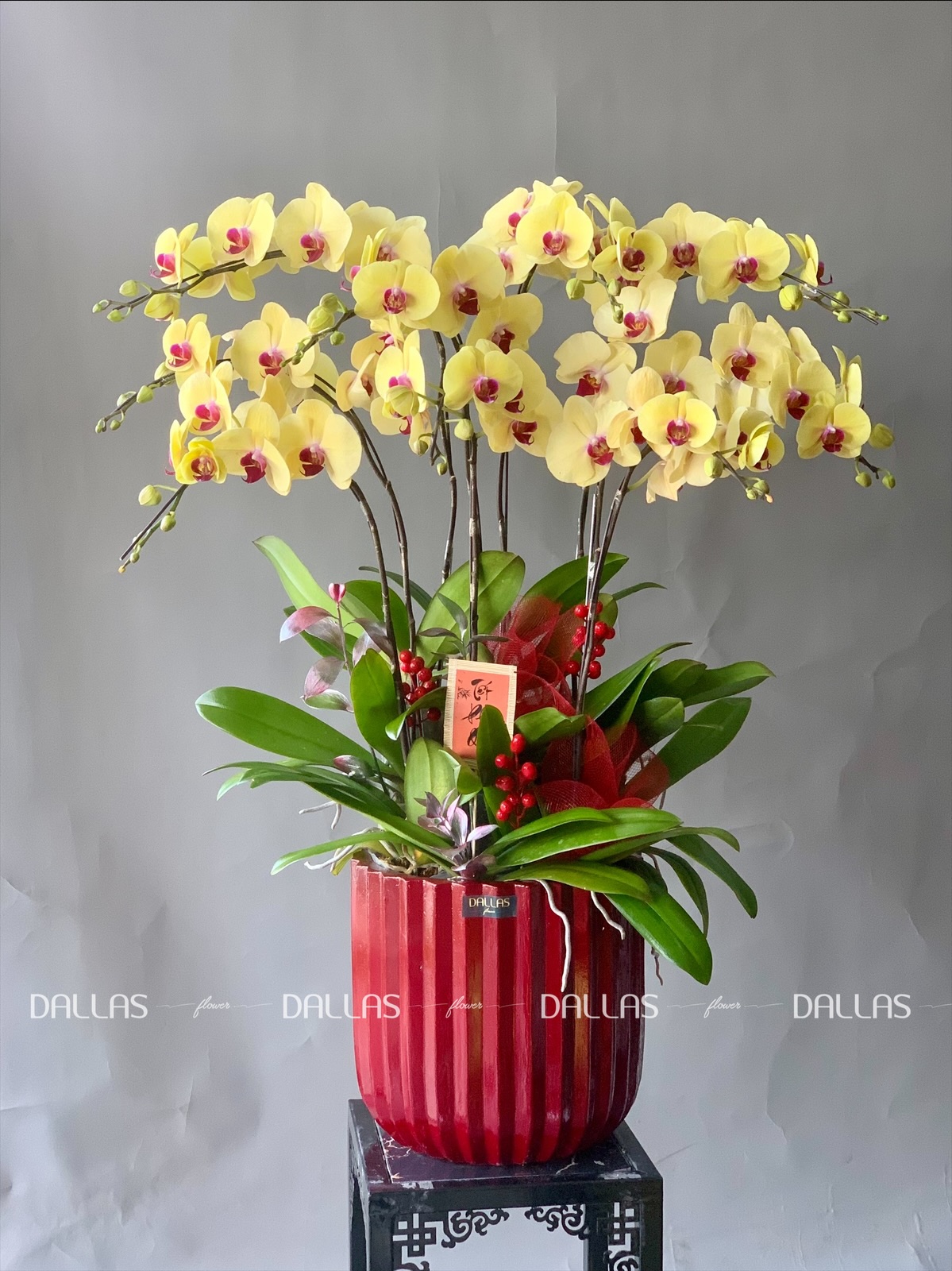 Chậu Lan Hồ Điệp Vàng 9 Cành (Đ9-V1/02) Chậu Lan Hồ Điệp Vàng 9 Cành (Đ9-V1/02)