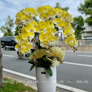 Chậu Lan Hồ Điệp Vàng Gold 6 Cành (Đ6-NV1/01)