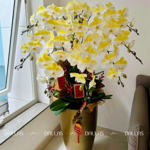 Chậu Lan Hồ Điệp Vàng Gold 9 Cành (Đ9-NV1/01)