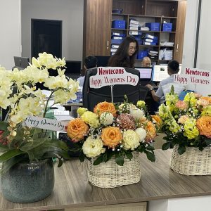 Chậu Lan Hồ Điệp Mini Xanh Táo 6 Cành Đôi (M3-XT2/01)