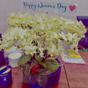 Chậu Lan Hồ Điệp Mini Xanh Táo 8 Cành Đôi (M4-XT2/01)