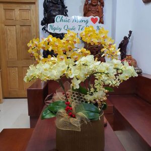 Lan Hồ Điệp Mini Vàng 14 Cành Đôi (M7-V2/04)